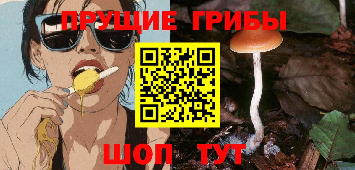 Псилоцибиновые грибы Psilocybine cubensis  Вход с VPN  Тула  Псилоцибиновые грибы мухоморы 